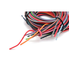 12 Circuit New Style XL Wire Braided Shield Universal Wire Harness 14 Fuse 12V